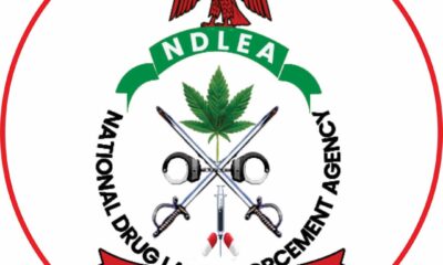 NDLEA