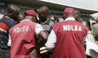 NDLEA