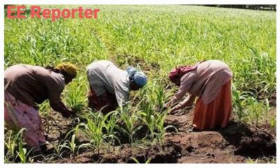 Tinubu Government Empowers Women