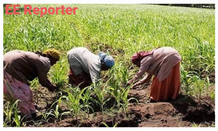 Tinubu Government Empowers Women