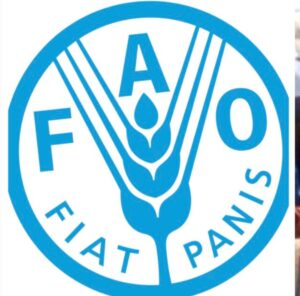 FAO Unveils Feeding Programme