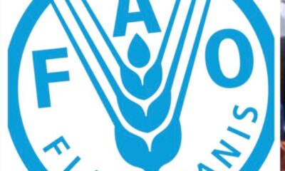 FAO Unveils Feeding Programme