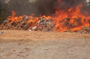 NDLEA Destroys Largest Seizure