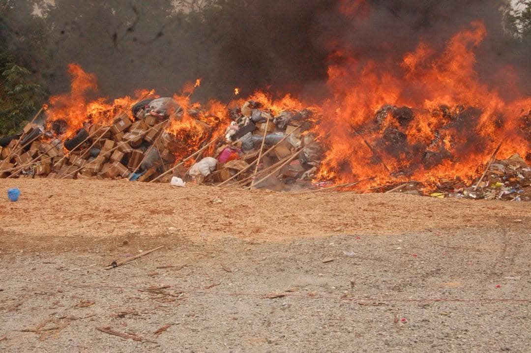 NDLEA Destroys Largest Seizure