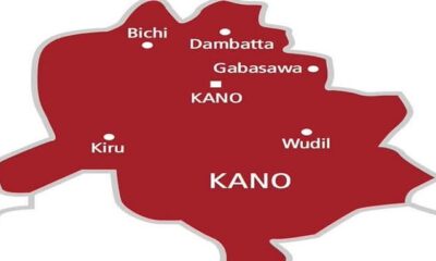 Kano Peace Task Force