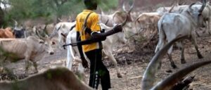 MACBAN: Miyetti Allah Urges Tinubu To Protect Herdsmen