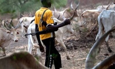 MACBAN: Miyetti Allah Urges Tinubu To Protect Herdsmen
