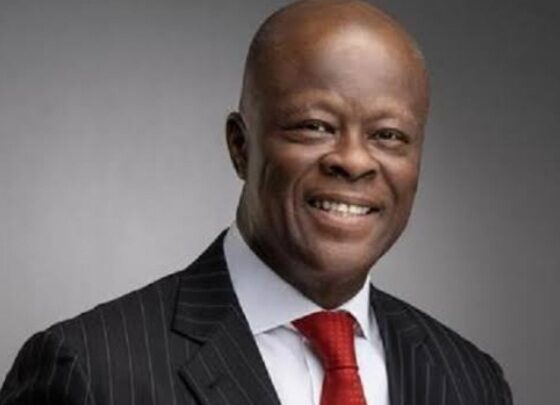 Finance Minister Edun