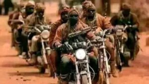 Boko Haram Using Drones For Attacks In Borno