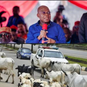 Alex Otti Vows To Enforce Anti-Open Grazing Law