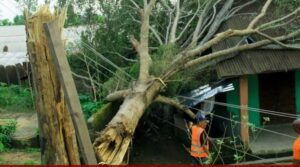 Akwa Ibom LG Chairman Leads State Delegation