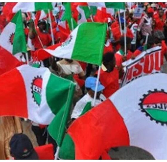 NLC Demands Full Enforcement Of New Minimum Wage