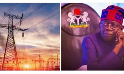 FG Vows To Meet GenCos Over N4tn