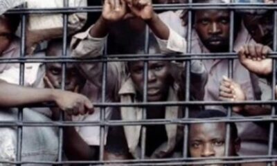 Gombe Chief Judge Frees 85 Inmates