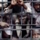 Gombe Chief Judge Frees 85 Inmates