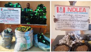 NDLEA Intercepts N3.2bn Opioids