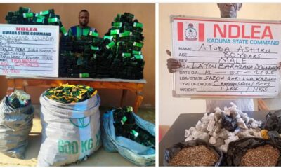 NDLEA Intercepts N3.2bn Opioids