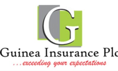 Guinea Insurance Plc Gets New Board Chairman Temitope Borishade