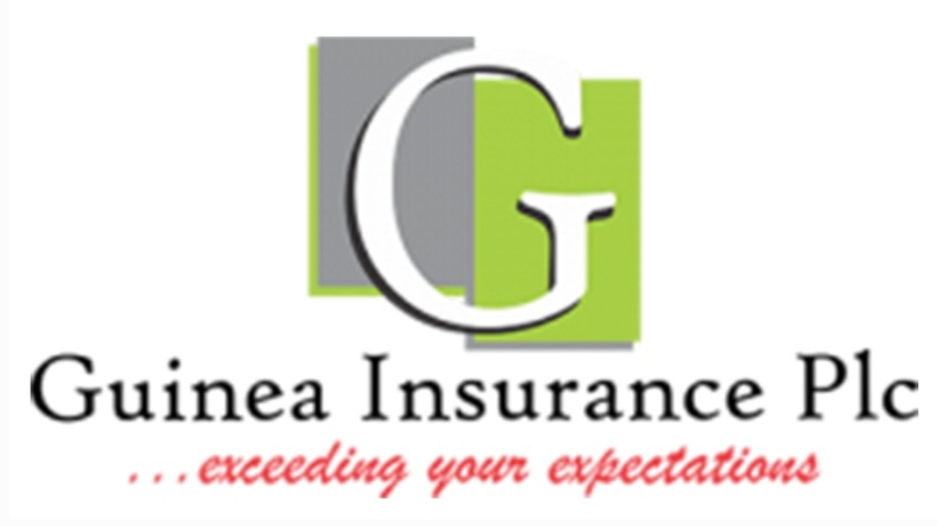 Guinea Insurance Plc Gets New Board Chairman Temitope Borishade