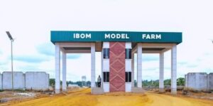 Ibom Model Farm