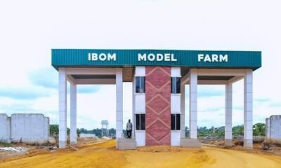 Ibom Model Farm