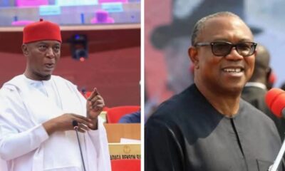 Ned Nwoko To Peter Obi