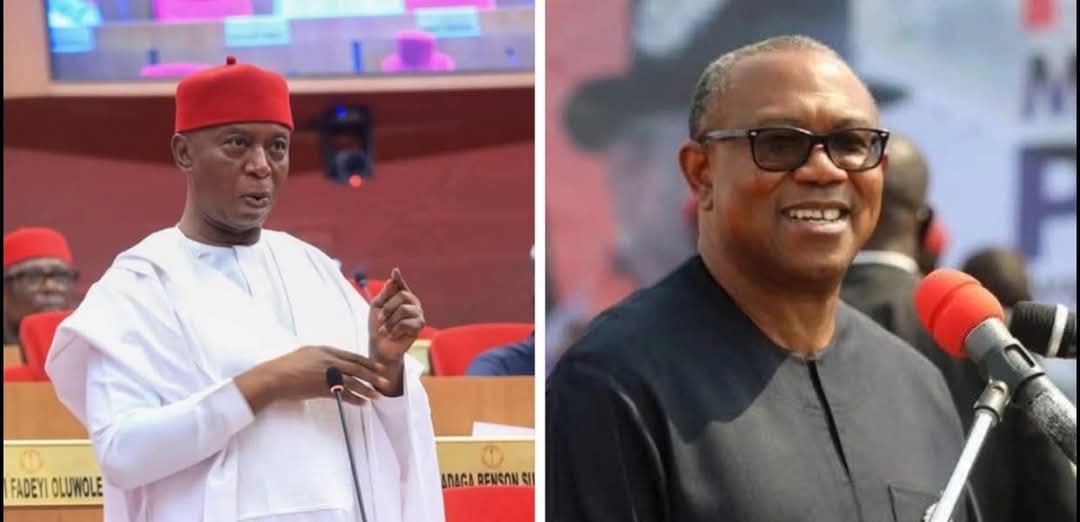 Ned Nwoko To Peter Obi
