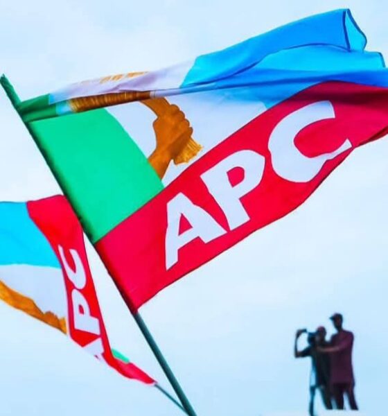 Jandor Inaugurates Independent Campaign Group To Support APC Candidates