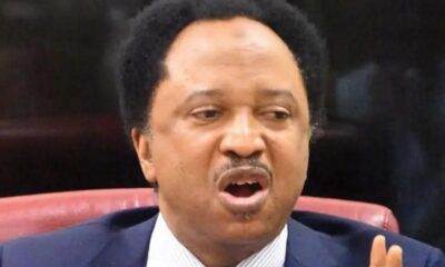 Shehu Sani