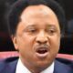 Shehu Sani