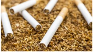 WHO Seeks Ban On Flavoured Tobacco