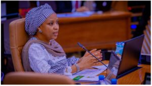 Hadiza Bala Usman Faults BUA