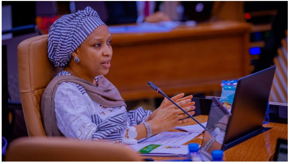 Hadiza Bala Usman Faults BUA