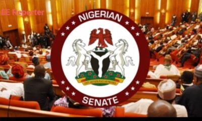 Senate Commends Tinubu’s Commitment