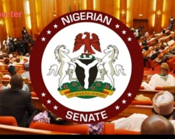 Senate Commends Tinubu’s Commitment