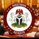 Senate Commends Tinubu’s Commitment
