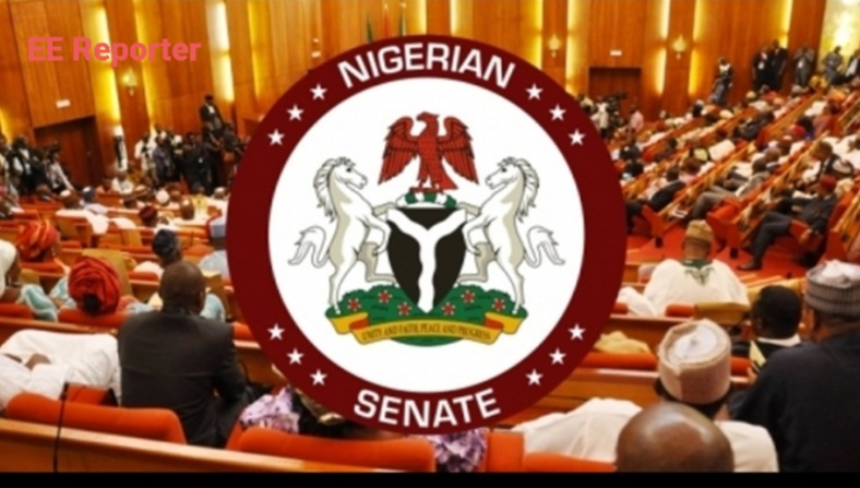 Senate Commends Tinubu’s Commitment