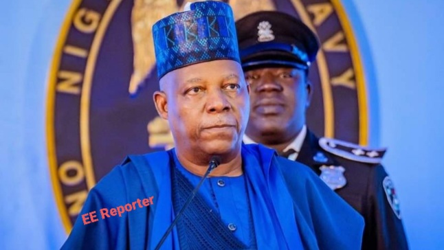 Vice-President Shettima Inaugurates Power Project