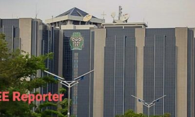 CBN Targets $1 Billion-Dollar Diaspora Reserve