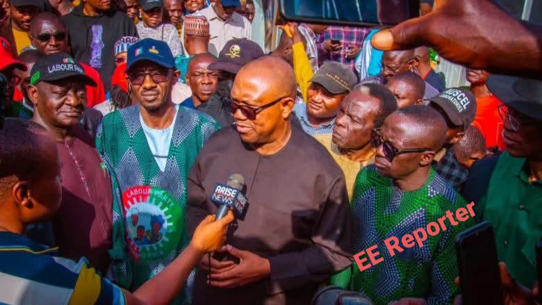 Labour Party Moves To Expel 2023 Presidential Candidate Peter Obi