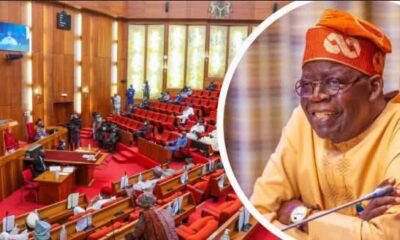 NASS Approves Tinubu’s $21bn Foreign Loan For 2025 Budget