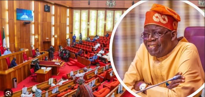 NASS Approves Tinubu’s $21bn Foreign Loan For 2025 Budget