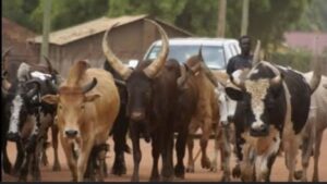 Government Warns Herders On Ogun