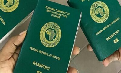 List Of 6 Countries Granting Automatic Citizenship By Birth For Nigerians 2025