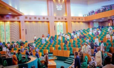 Reps Pass Bill To Increase Lagos Local Governments From 20 To 57