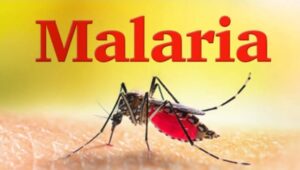 Pest Control Association