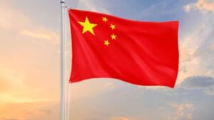 Institute Partners China