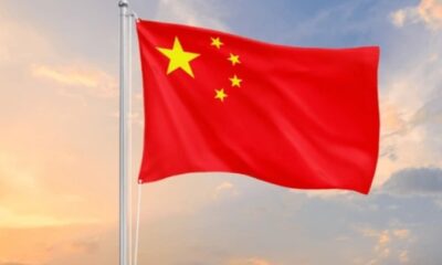 Institute Partners China