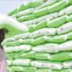 PFI: FG To Boost Fertiliser Supply Chain