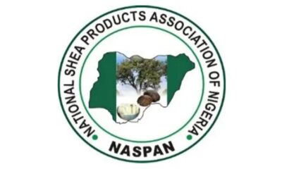 NASPAN Commends Tinubu Government’s Ban On Exportation Of Shea Nuts